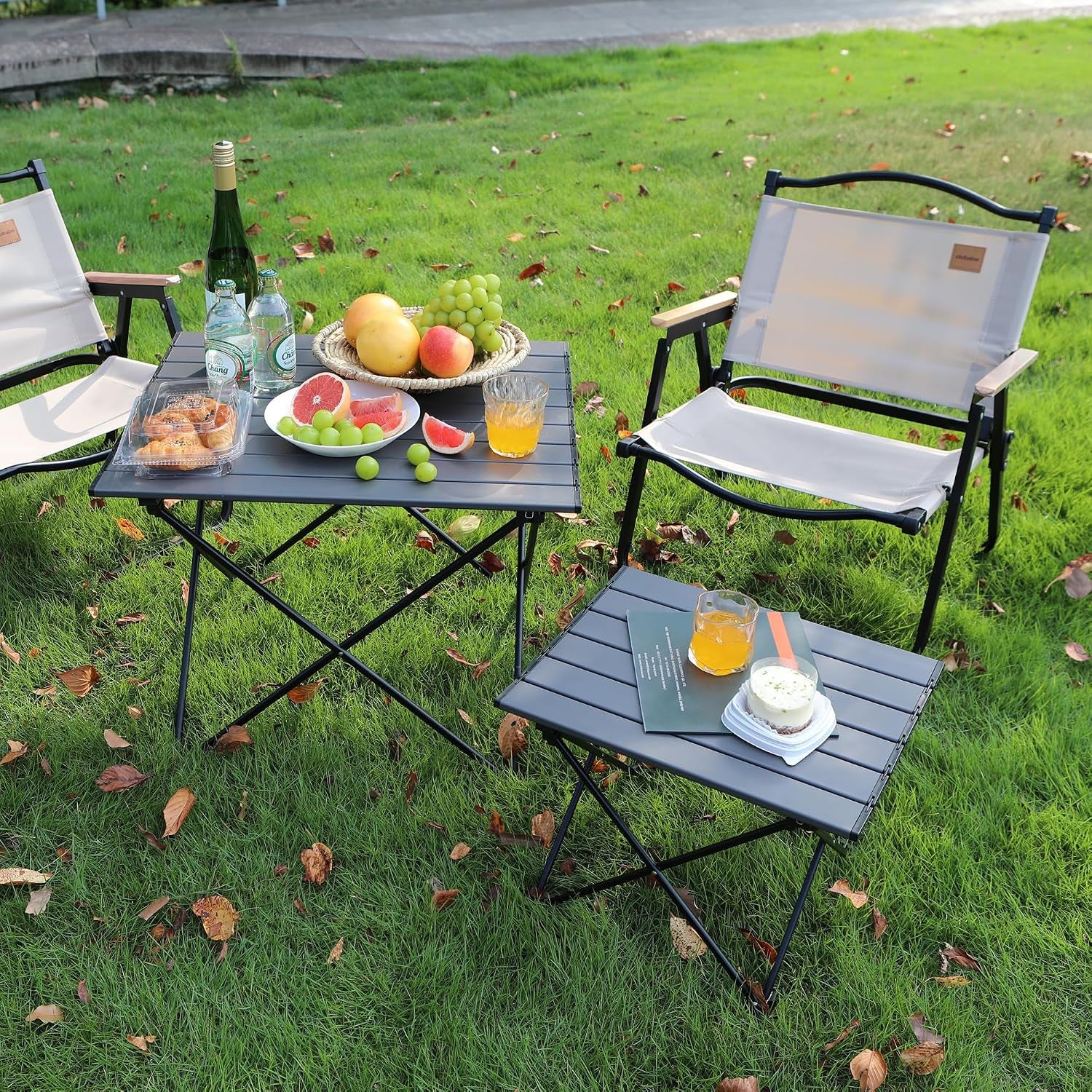 Aluminum Folding Camping Table | 60kg Capacity, Anti-Slip Base & Carry Bag